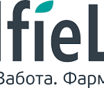 Результаты коллаборации с блогерами: кейс Selfielab в Беларуси
